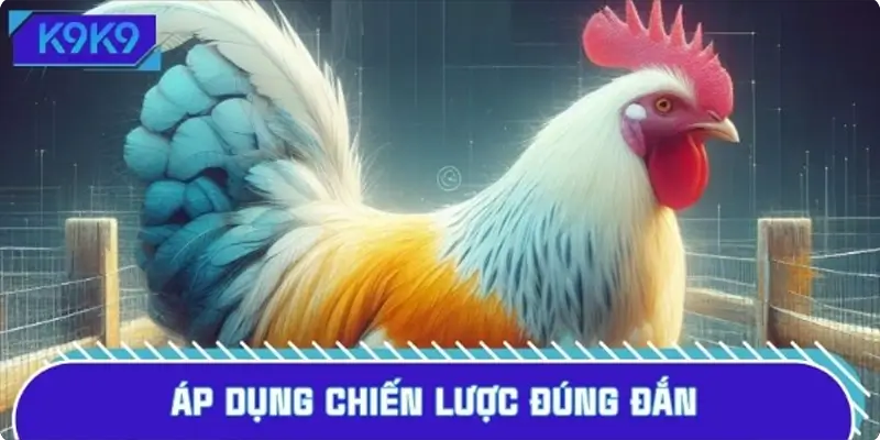 Áp dụng chiến lược đúng đắn sẽ giúp tăng cơ hội thắng