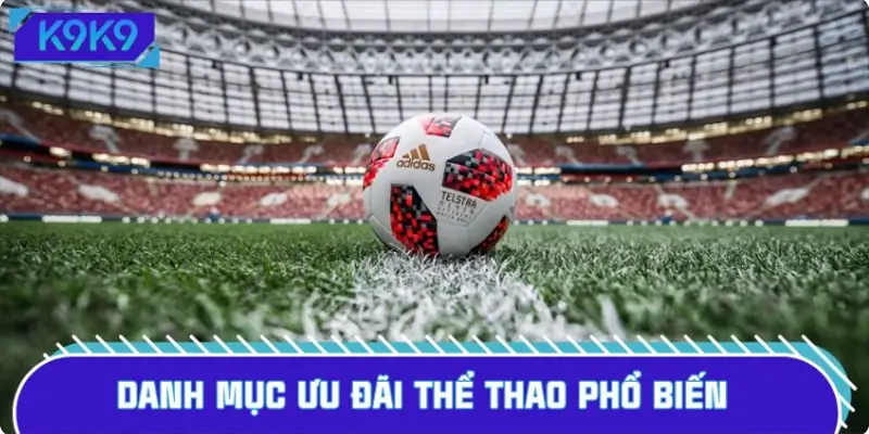 Danh mục ưu đãi thể thao phổ biến cần nắm vững