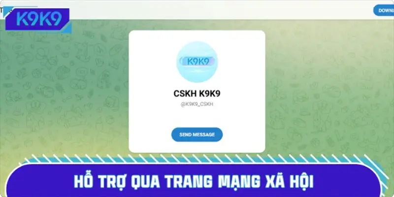 Hỗ trợ qua trang mạng xã hội (Telegram và Zalo)