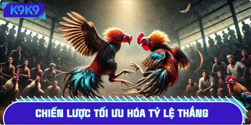 Học ngay kỹ năng đặt cược trên sàn gà ảo
