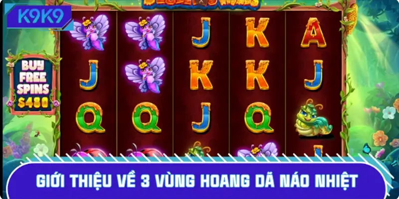 Khái quát nhanh thông tin về 3 Vùng Hoang Dã Náo Nhiệt